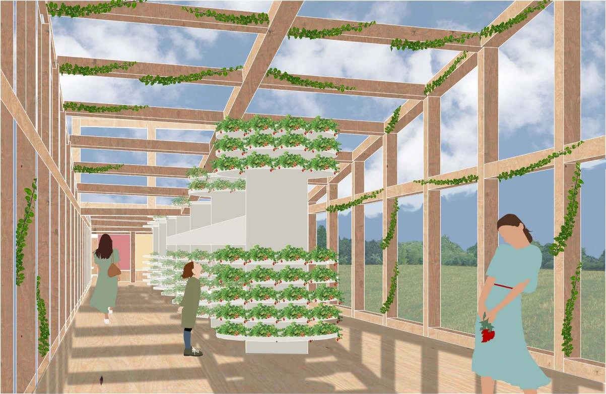 Internal perspective of a timber greenhouse with vertical strawberry planting.